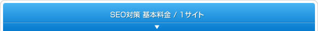 SEO対策　基本料金／1サイト